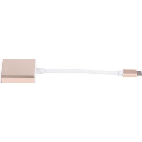 1 Adaptateur USB-C vers VGA, Boîtier aluminium doré, Interface réversible USB 3.1, Compatibilité MacBook, Pour présentations (1/2)