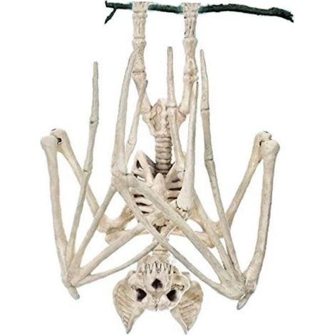 Gruseliges Fledermausskelett – Realistische Simulation – Halloween-Knochen – Tierdeko-Partyaccessoires (1/5)