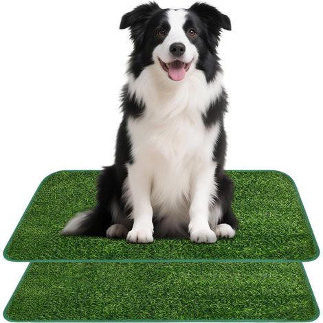 Toilettes pour Chien avec Gazon Artificiel-4658cm, 2Pcs Pot pour Chien en Herbe Facile à Nettoyer, Respirant Bacs à Litières pour Chiens Exterieur Intérieur avec Tapis de Gazon Réaliste (1/5)