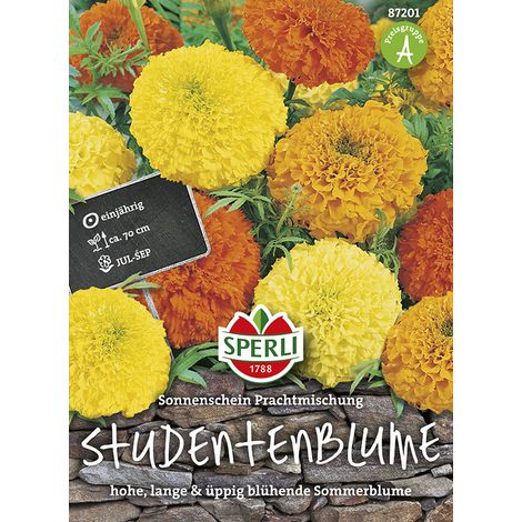 Sperli Studentenblumen Tagetes Sonnenschein Prachtmischung - Blumensamen (1/2)