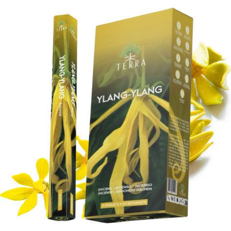 Terra Ylang-Ylang palitos de incienso 20 unidades (1/4)