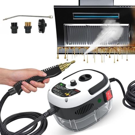 Cleaner steam portable 2500 W  High pressure and temperature  Cleaning furniture of kitchen and bathroom  Eco-friendly without products chemical (1/5)