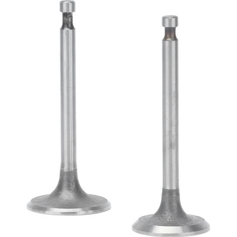 188-valve 2.5-3.5KW gasoline engine intake and exhaust valve assembly, alternator parts (2pcs) (1/5)