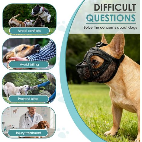 Museruola per Bulldog Francese, Museruola Regolabile Traspirante per Cani, Maschera Piatta, Piccola Museruola Corta per Cani, Anti-Morsi, Masticazione e Leccate, per Shih Tzu e Carlino (S) (1/4)