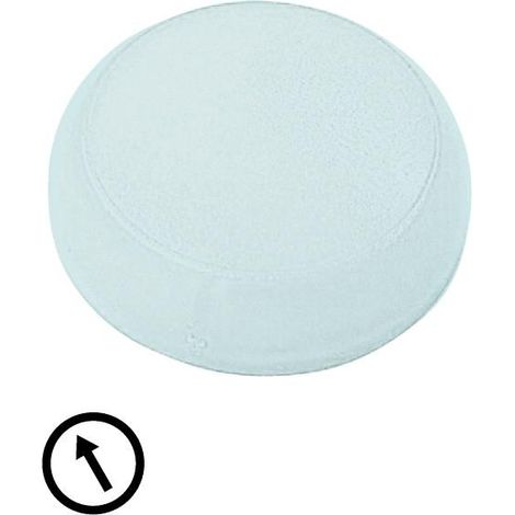 Verrine voyant lumineux blanc plate symbole flèche EATON M22-XL-W-X8