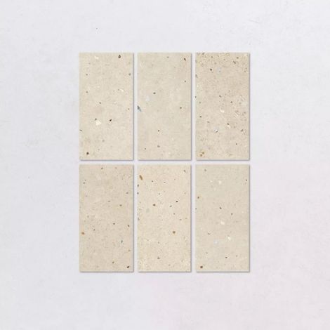 Carrelage Intérieur Effet Pierre HALO 11x22 cm Dawn (1/3)