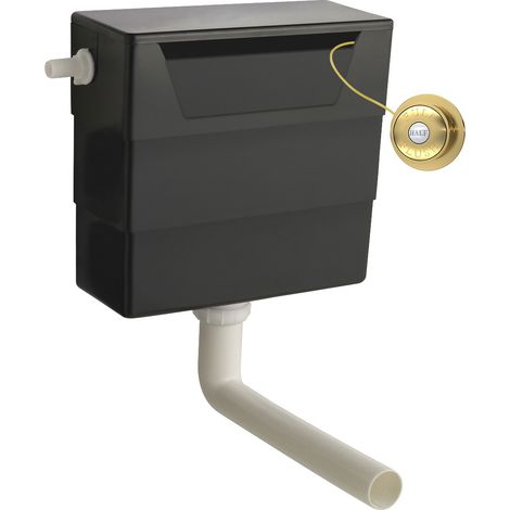 Universal Water Saving Dual Flush Side Inlet & Traditional Push Button - Brushed Brass/Black