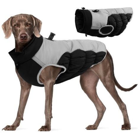 Pull Chien Saint Valentin Pull pour Chien Tricot Pulls Chiens Petite Taille Chaud Vetement Chiens Ours Pulls Petit Chiot Cardigan pour Chiot Manteau Chiots Pull-Over (Beige,XS，1pcs) (1/5)