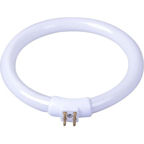 Leuchtstofflampe Röhre LED Lampe T4 12W, 4,8 Zoll Rund Leuchtstoffröhre, Kreis Glühbirne, Runde Leuchtstoffröhre Mit Einstellbarer Helligkeit, Für Wandlampen, Deckenleuchten (1/5)