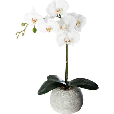 Orchidea artificiale in vaso di cemento H53cm - Atmosphera créateur d'intérieur