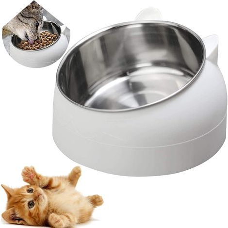 Gamelle Inclinée pour Chat et Chien en Acier Inoxydable - Bol Antidérapant pour Chiots, Hamsters, Lapins et Petits Animaux (1/5)