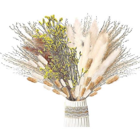 Pampas Gras getrocknet 46 Stück Set getrocknete Blumen, Pampas Gras Dekoration, natürliche getrocknete Blumen, Bouq