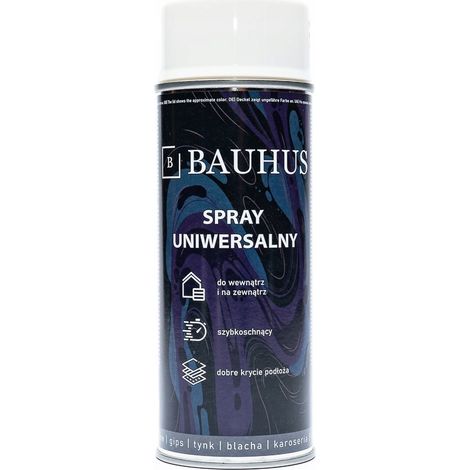 BAUHUS VERNICE UNIVERSALE SMALTO VERNICE SPRAY RAL 9010 BIANCO LUCIDO (1/5)