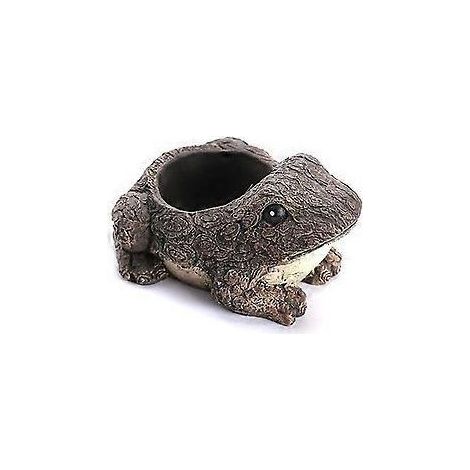 Pot miniature en résine pour plante grasse - Grenouille comme illustré. (1/5)