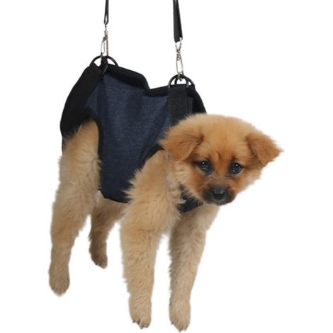 Gilet-sciarpa per cani con maniglia, clip per maniglia senza M