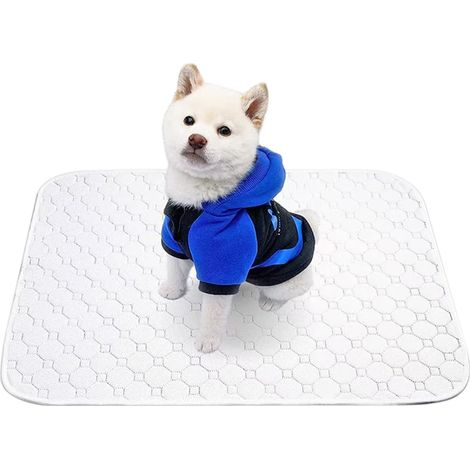 Tapis Urine Chien - Absorbant Réutilisable Lavable en Machine - Fond Antidérapant - Bord Doux Coupé Net - Par Unité (1/5)