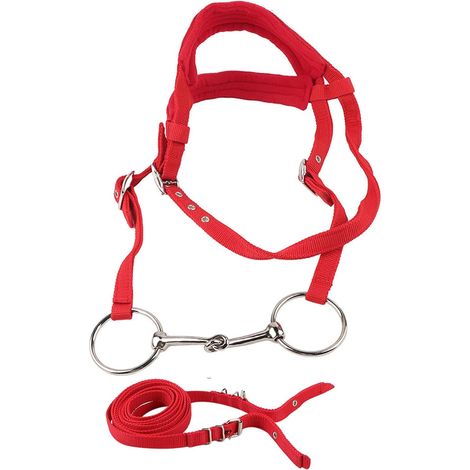 Bride réglable pour cheval avec coussin doux, rouge (1/5)