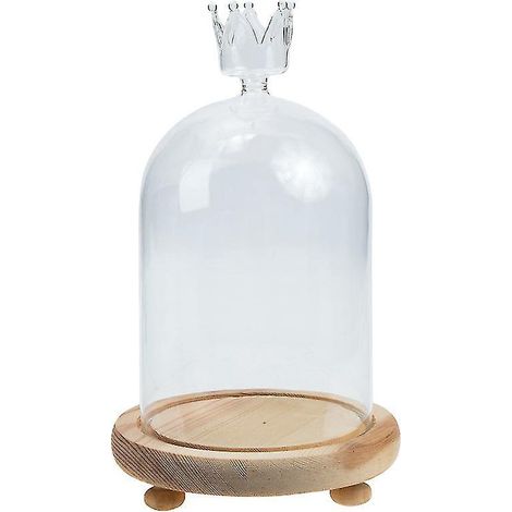 Die neue 1-teilige Glaskuppel (1/3)