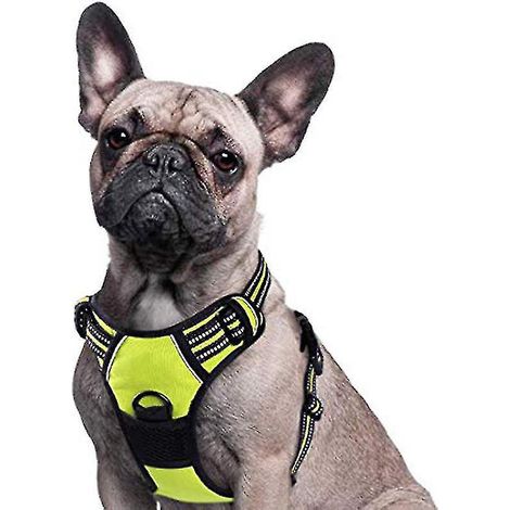 Gepolstertes und verstellbares Anti-Zug-Geschirr für große Hunde, ideal für Training und Spaziergänge – 55–75 cm – Grün
