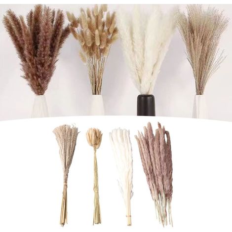 Végétaux Séchés Décoration Pampas - Set de 100 Pièces Pampas Naturelles Blanc/Brun Graminées Lapin et Roseaux pour Maison Mariage (1/4)