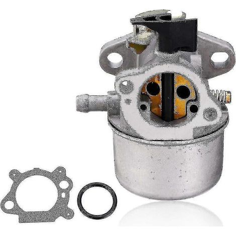 Carburateur métallique avec joints toriques en caoutchouc pour moteurs Briggs & Stratton Quantum : (1/5)