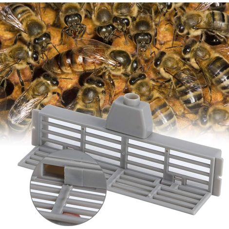 (12 cm) 10 Stück – Multifunktionales, tragbares Bienenfluchtwerkzeug, Imkerwerkzeug, Bienenfluchtwerkzeug für Imker (1/5)