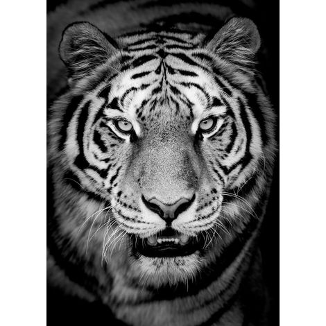 Tableau sur toile tigre en noir et blanc 100x140 cm - Impression sur Toile Murale Décorative - Image imprimée en HD sur Toile - Toile sur Châssis en Bois FSC - Fabriqué en France