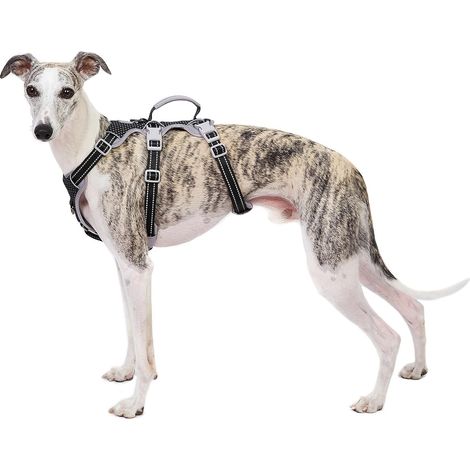 Harnais Anti-Fugue pour Chien Entièrement Réfléchissant avec Poignée, Respirant, Durable, Gilet Réglable pour Chiens de Taille Moyenne, pour la Marche, Le Dressage (1/5)