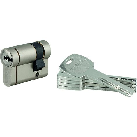 THIRARD - Demi cylindre de serrure Transit 1 UNIKEY (achetez-en plusieurs, ouvrez avec la même clé), 30x10mm, 5 clés, nickelé - THIRARD