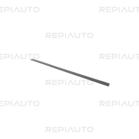 Moulure de porte avant gauche à peindre Audi A6 2 (4B2-C5/4B5-C5) 1997-2004