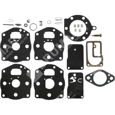 Kit Riparazione per carburatori BRIGGS & STRATTON 491539 - 394502 COMPATIBILE - 006646