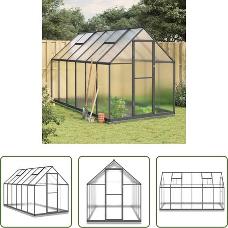 Protection des plantes - Serre avec cadre de base anthracite 334x169x202 cm aluminium (1/5)