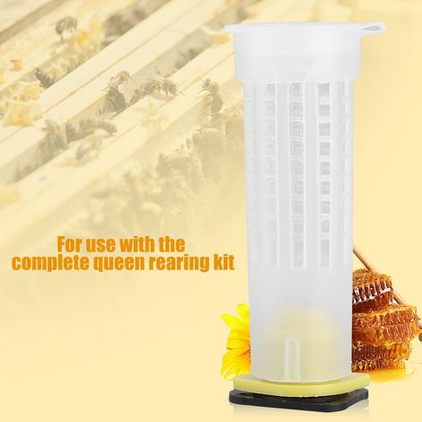 Kit Élevage Reine 10 Packs Cages à Reines Abeilles Rouleau Outil Apiculteur Équipement Ruche (1/5)