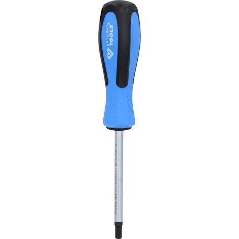 BRILLIANT TOOLS Destornillador TORX T40 x 100 mm - BT031042 (1/4)