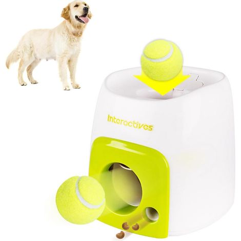 Lot de balles de tennis pour chien (1/5)
