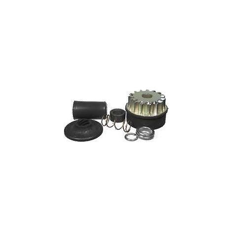 Kit pignone motorino avviamento Vanguard BRIGGS & STRATTON 496881