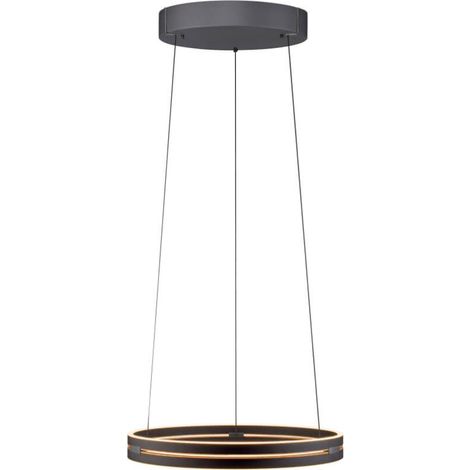 Lampe suspendue élégante Pure E-Loop black - 2550-18