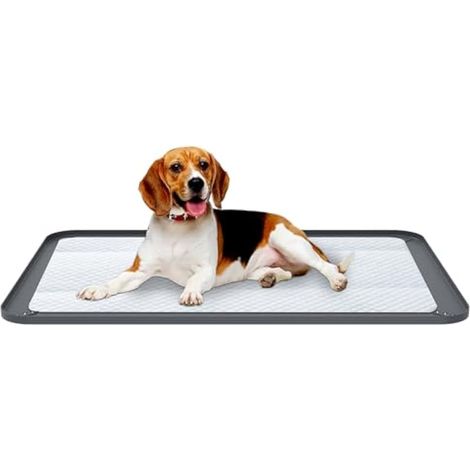 Tapis d'urine antidérapant en silicone pour chiot - 62 x 42 cm - Tapis étanche avec bord surélevé de 1,5 cm pour protection du sol, plateau d'apprentissage de la propreté pour petits chiens (62 x 42 (1/4)