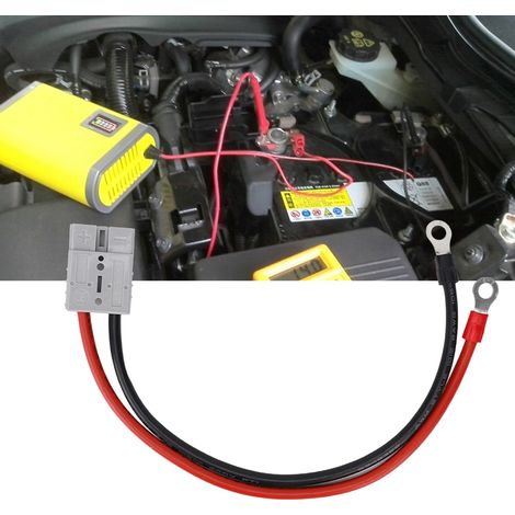 Connecteur de chargeur de batterie pour chariot élévateur 50 A 600 V avec câble d'extension (1/5)
