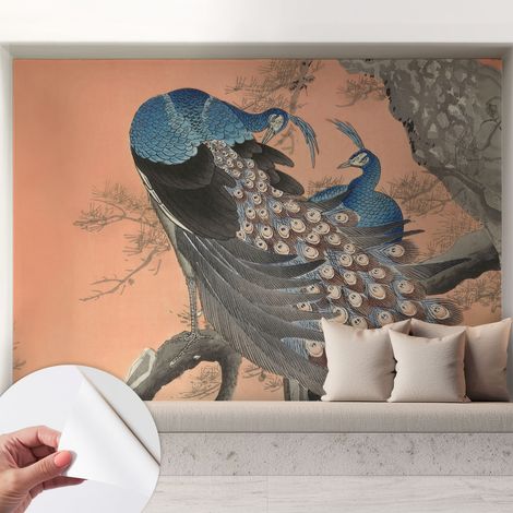 Tapete Selbstklebend - abwaschbar - trendige Wanddeko - elegant Fototapete Pfaueneleganz 208x146 cm (1/5)