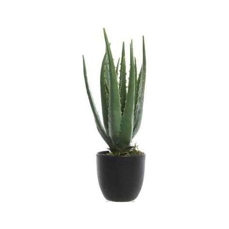 Pianta Aloe Vera artificiale h35cm