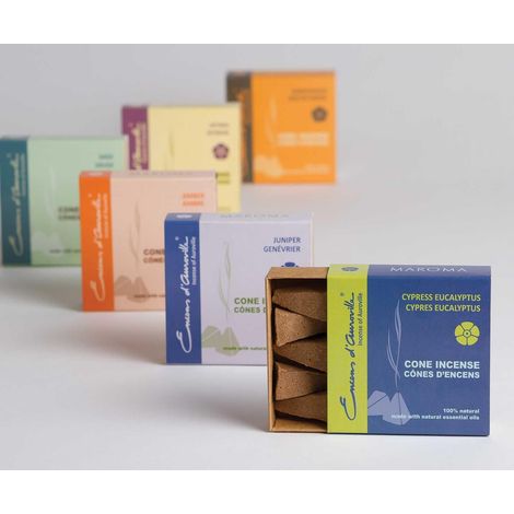 CONI INCENSO FRAGRANZA ASSORTITA 10PZ MAROMA EDA