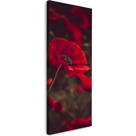 Stampa su tela "Botanica Papaveri Rossi" 40x120 cm