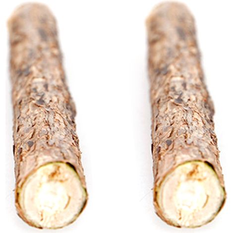 Lot de 2 bâtonnets de cataire naturelle (matatabi) pour chat, jouet à mâcher pour l'entretien des dents, bâtonnet en bois pour chaton. (1/5)