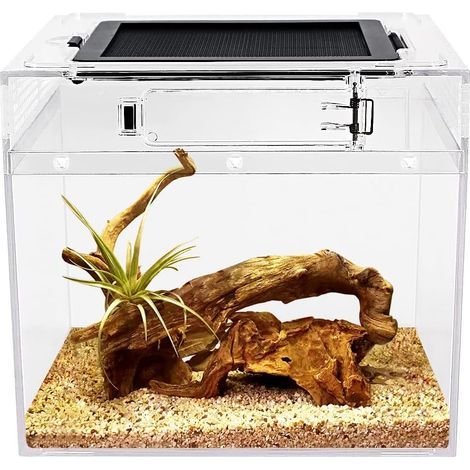 Reptilien-Terrarium, 20 x 20 x 18 cm, 360°-Rundumsicht, Metallbelüftung, für Geckos, Echsen und Spinnen (1/5)