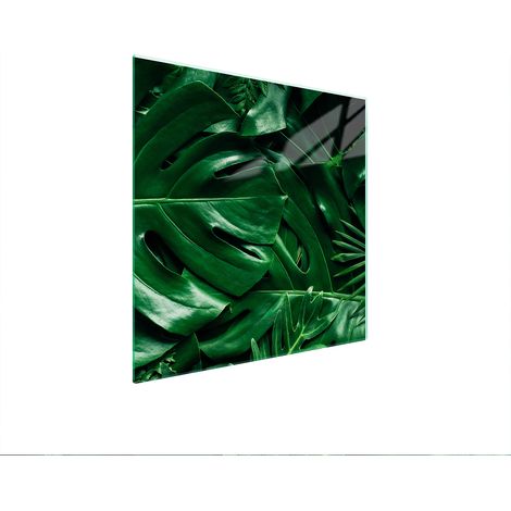 PIASTRA PROTETTIVA IN VETRO PER STUFA 50x52 MONSTERA (1/5)