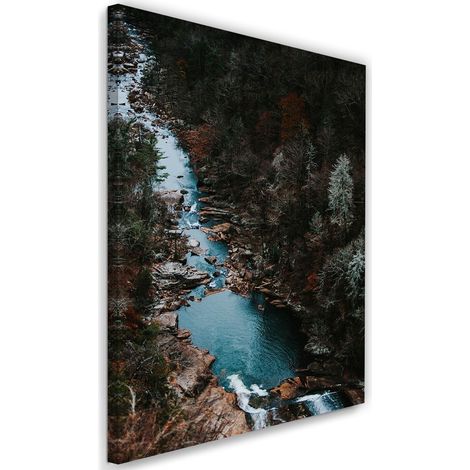 Tableau sur toile Forêt Courant Montagnes Nature 40x60 (1/5)