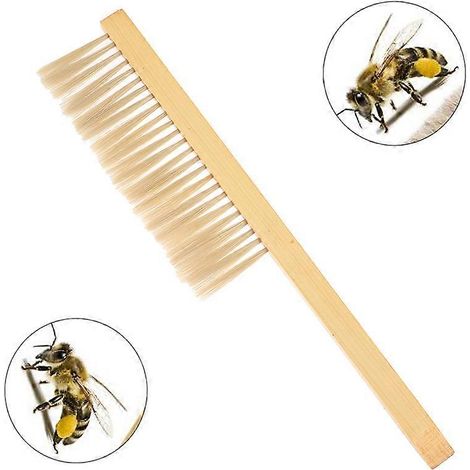 Outils apicoles, brosse à miel en bois, balai à guêpes et à abeilles, brosse à abeilles à deux rangées de crin de cheval, matériel apicole (1/2)
