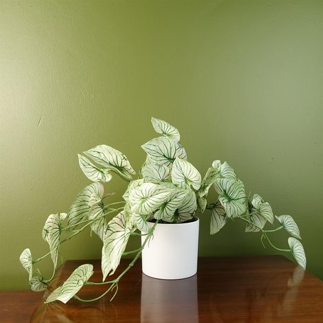 30cm Artificial Trailing Plant Realistic Variegated Potted Alocasia (1/4)