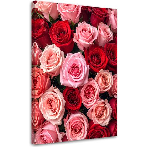 Bild auf Leinwand Rosen Blumen Pflanzen Natur 20x30 (1/5)
